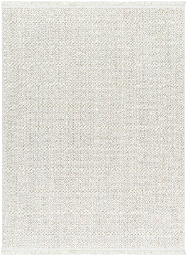 Surya New Delhi Nwh-2308 Light Silver, Light Grey, Off-White Rug.