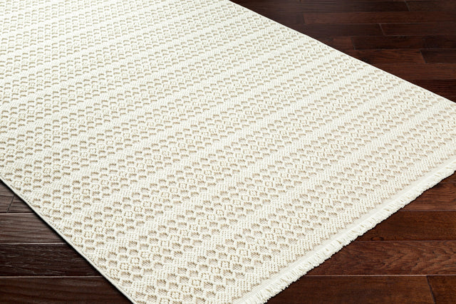 Surya New Delhi Nwh-2308 Light Silver, Light Grey, Off-White Rug.