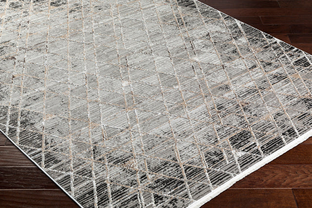 Surya Obsession Obn-2301 Charcoal, Black, Cream, Brown, Light Brown, Light Gray Rug.