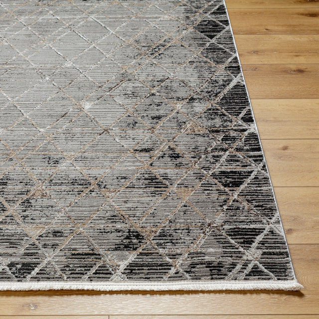 Surya Obsession Obn-2301 Charcoal, Black, Cream, Brown, Light Brown, Light Gray Rug.