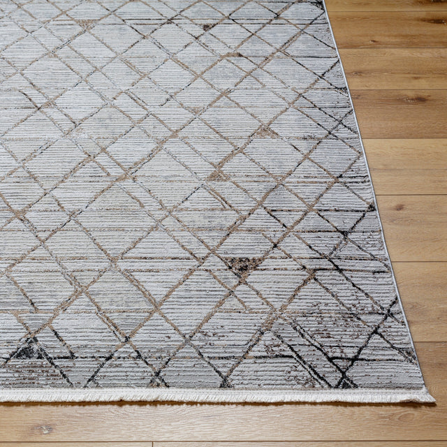 Surya Obsession Obn-2302 Cream, Light Gray, Gray, Black, Light Brown, Brown Rug.