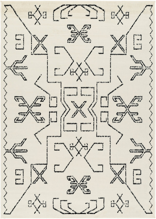 Surya Pisa Pss-2362 Light Gray, Black Rug.