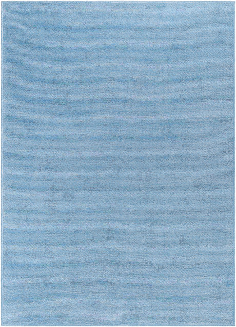 Surya Quebec Qbc-2304 Pale Blue, Light Blue Rug.