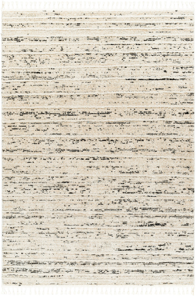 Surya Rudy Rdy-2300 Gray, Ivory, Light Beige, Cream, Medium Gray, Charcoal Rug.
