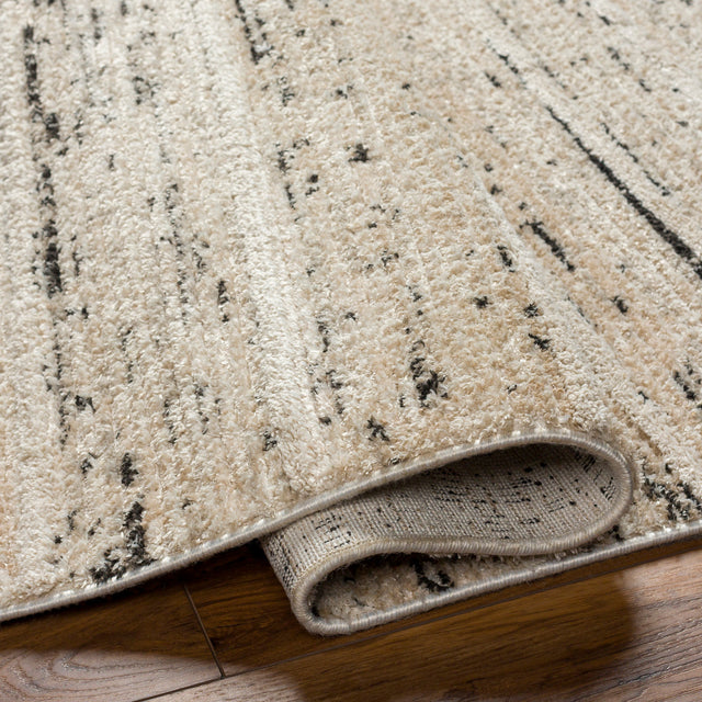 Surya Rudy Rdy-2300 Gray, Ivory, Light Beige, Cream, Medium Gray, Charcoal Rug.
