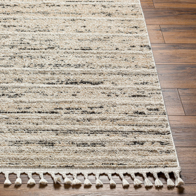Surya Rudy Rdy-2300 Gray, Ivory, Light Beige, Cream, Medium Gray, Charcoal Rug.