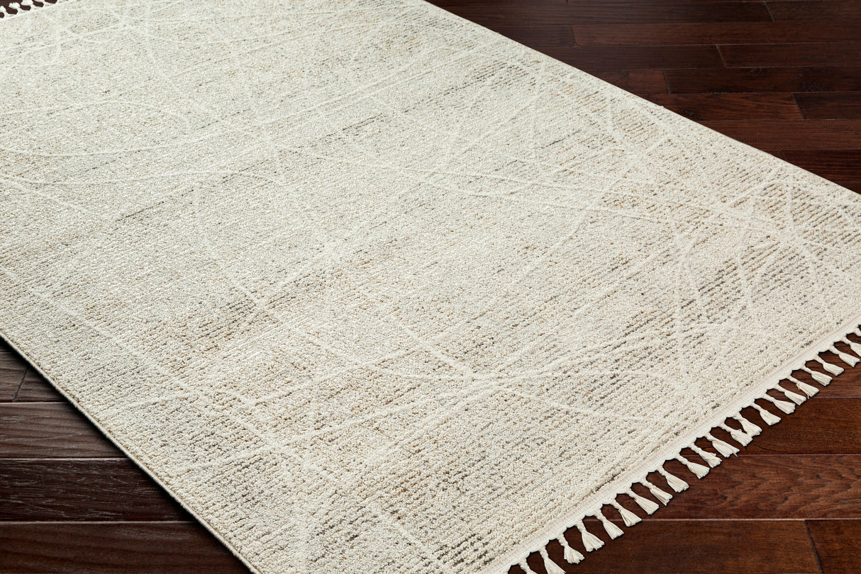 Surya Rudy Rdy-2303 Gray, Light Beige, Medium Gray, Cream, Medium Brown, Charcoal Rug.