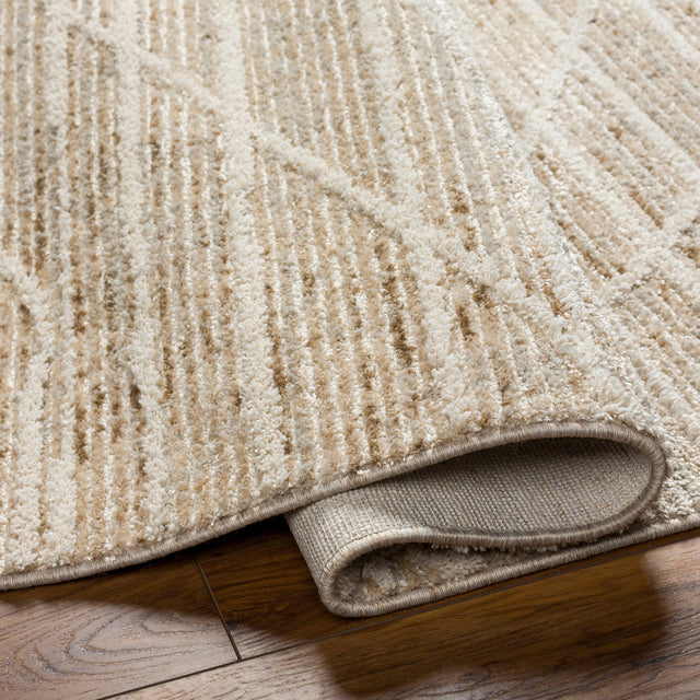 Surya Rudy Rdy-2304 Gray, Light Beige, Cream, Medium Gray, Medium Brown Rug.