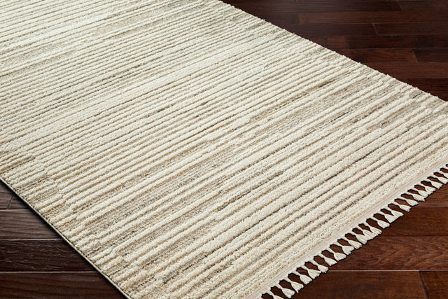 Surya Rudy Rdy-2305 Gray, Cream, Light Beige, Medium Gray, Ivory, Charcoal Rug.