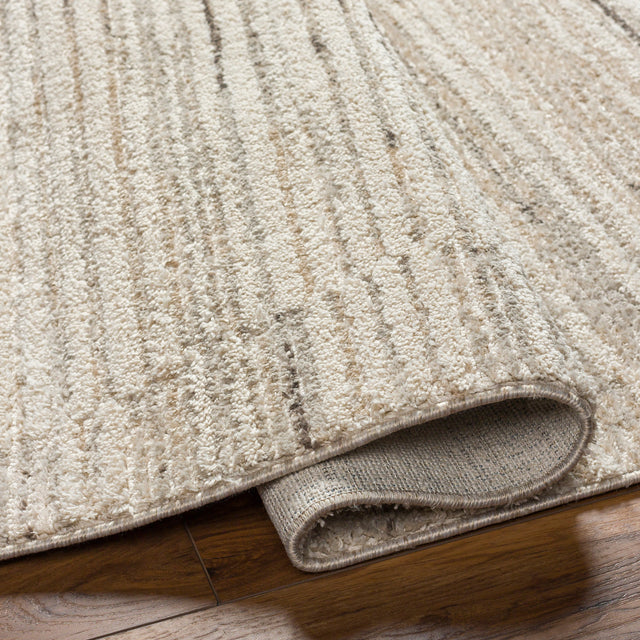 Surya Rudy Rdy-2305 Gray, Cream, Light Beige, Medium Gray, Ivory, Charcoal Rug.