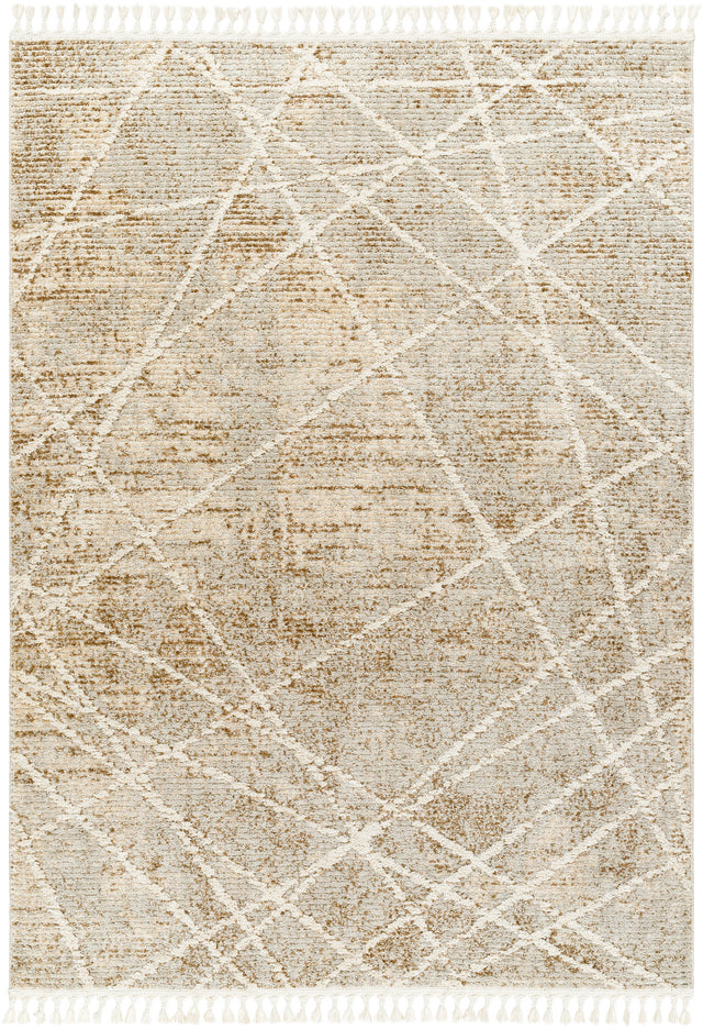 Surya Rudy Rdy-2308 Gray, Medium Gray, Light Beige, Medium Brown, Cream Rug.