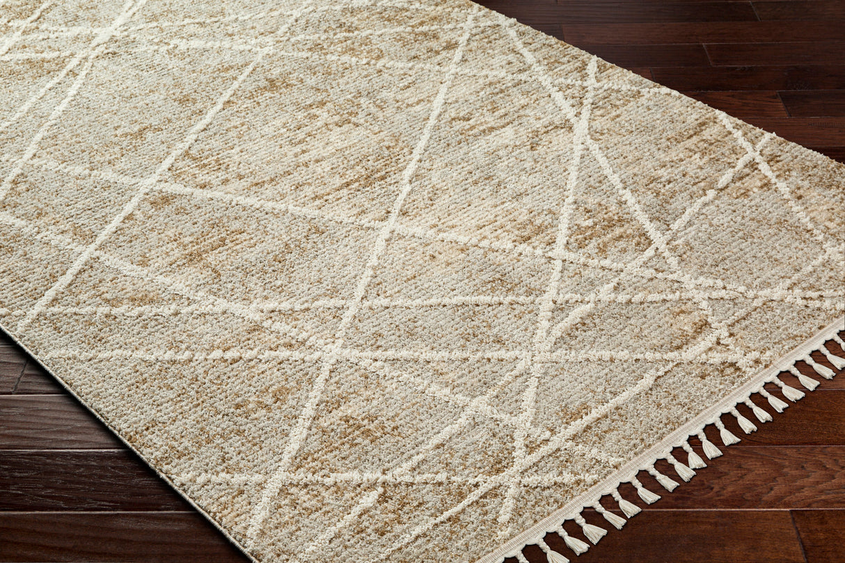 Surya Rudy Rdy-2308 Gray, Medium Gray, Light Beige, Medium Brown, Cream Rug.