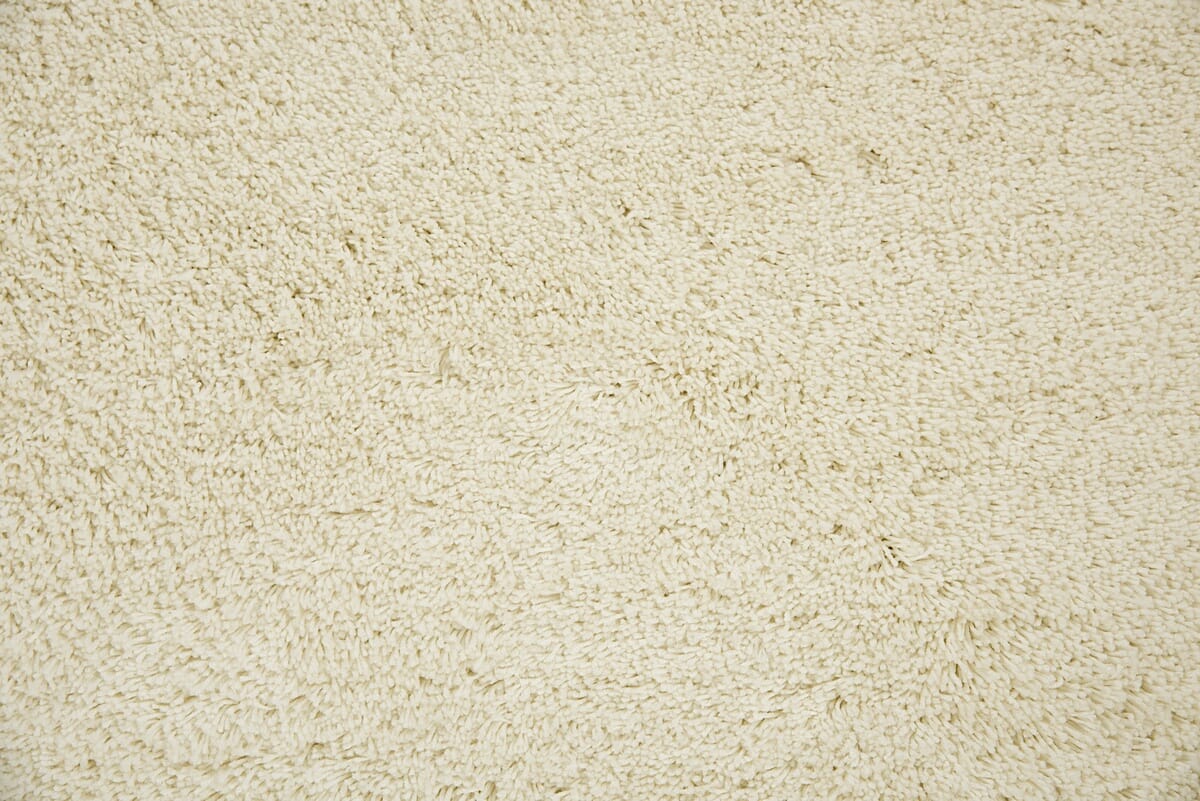 Rizzy Whistler Wis105 Ivory Rugs.