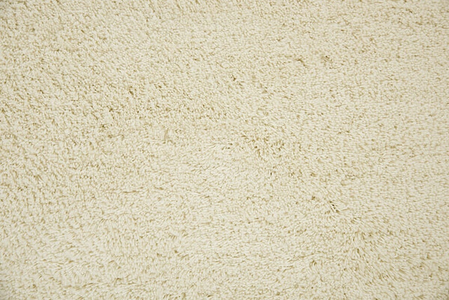 Rizzy Whistler Wis105 Ivory Rugs.