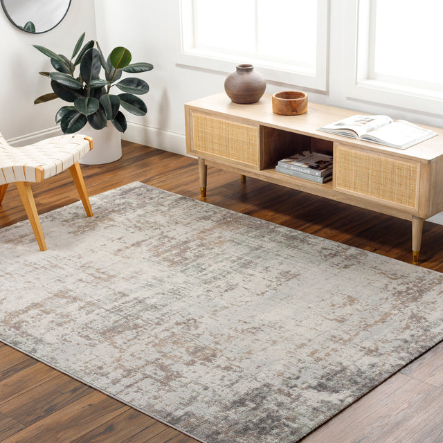 Surya Roma Rom-2404 Ash, Pewter, Light Silver, Sage Rug.