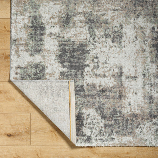 Surya Roma Rom-2408 Light Grey, Ash, Metallic - Silver Rug.