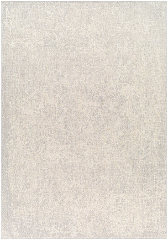 Surya Ravello Rvl-2307 Light Gray, Charcoal, Ivory, Light Beige Rug.