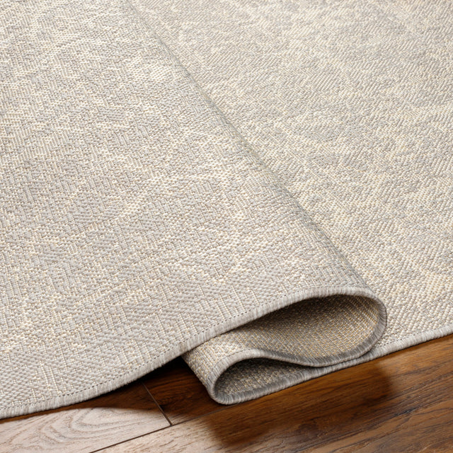 Surya Ravello Rvl-2307 Light Gray, Charcoal, Ivory, Light Beige Rug.