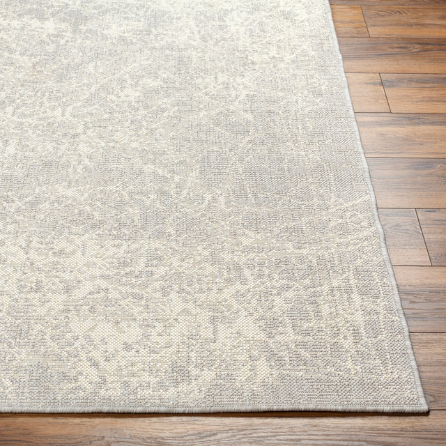 Surya Ravello Rvl-2307 Light Gray, Charcoal, Ivory, Light Beige Rug.