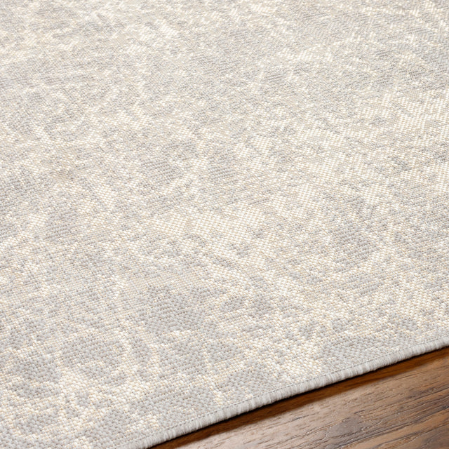 Surya Ravello Rvl-2307 Light Gray, Charcoal, Ivory, Light Beige Rug.