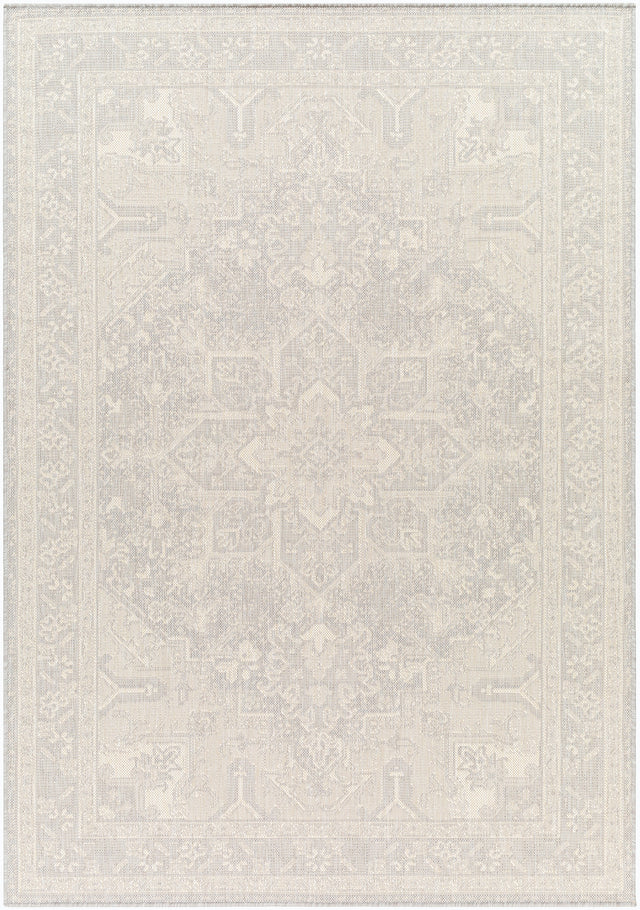Surya Ravello Rvl-2310 Light Gray, Charcoal, Ivory, Light Beige Rug.