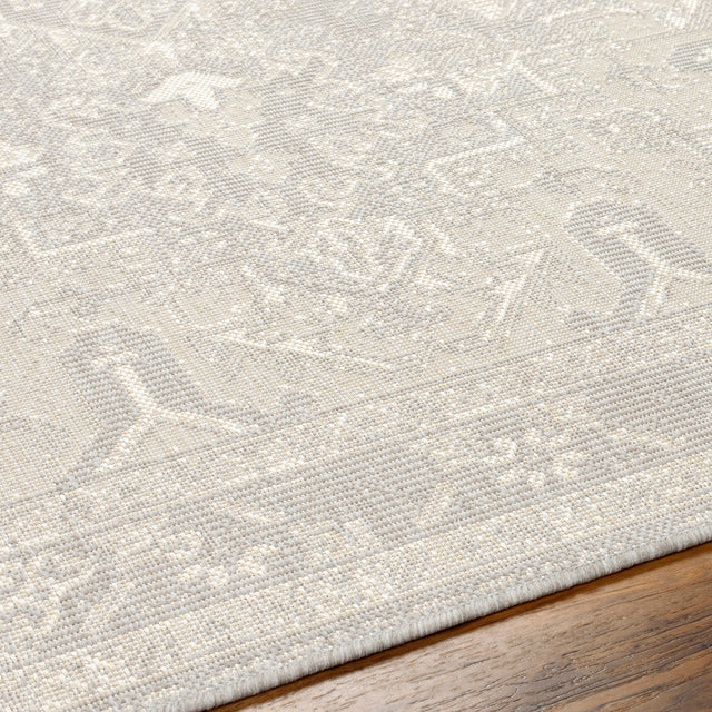 Surya Ravello Rvl-2310 Light Gray, Charcoal, Ivory, Light Beige Rug.