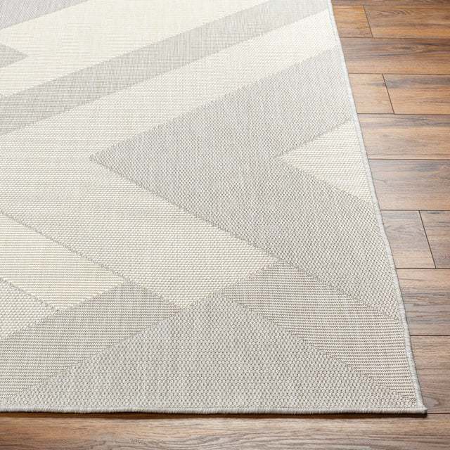 Surya Ravello Rvl-2319 Light Gray, Charcoal, Ivory, Light Beige Rug.