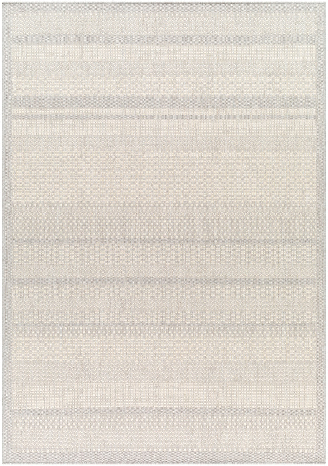 Surya Ravello Rvl-2337 Light Gray, Charcoal, Ivory, Light Beige Rug.