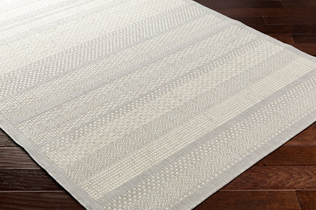 Surya Ravello Rvl-2337 Light Gray, Charcoal, Ivory, Light Beige Rug.