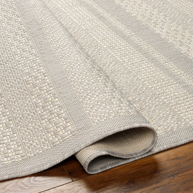 Surya Ravello Rvl-2337 Light Gray, Charcoal, Ivory, Light Beige Rug.