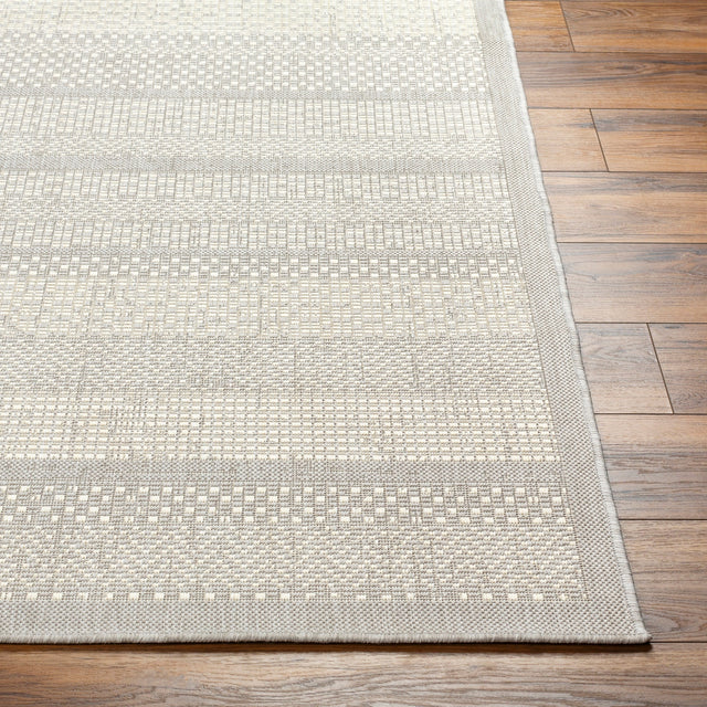Surya Ravello Rvl-2337 Light Gray, Charcoal, Ivory, Light Beige Rug.