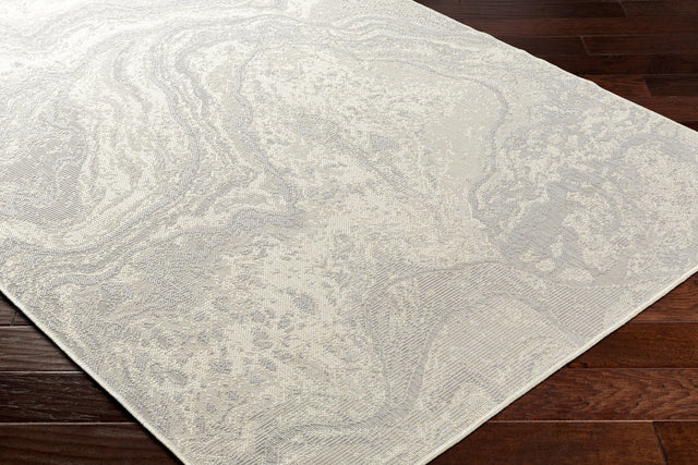 Surya Ravello Rvl-2343 Light Gray, Charcoal, Ivory, Light Beige Rug.
