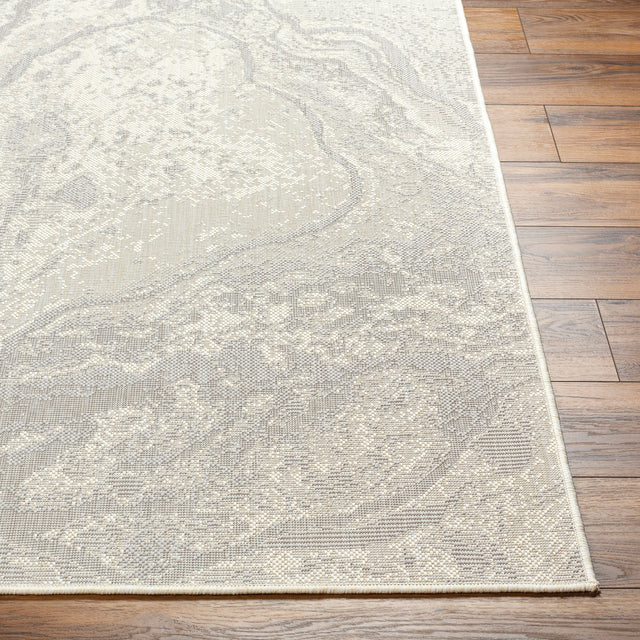 Surya Ravello Rvl-2343 Light Gray, Charcoal, Ivory, Light Beige Rug.