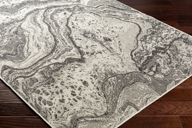 Surya Ravello Rvl-2344 Light Gray, Black, Ivory, Light Beige Rug.