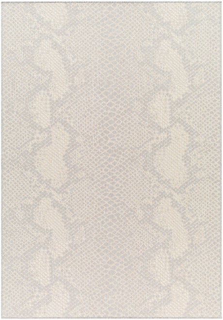 Surya Ravello Rvl-2346 Light Gray, Charcoal, Ivory, Light Beige Rug.