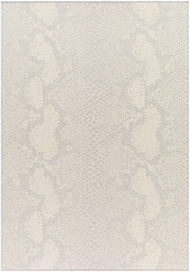 Surya Ravello Rvl-2346 Light Gray, Charcoal, Ivory, Light Beige Rug.