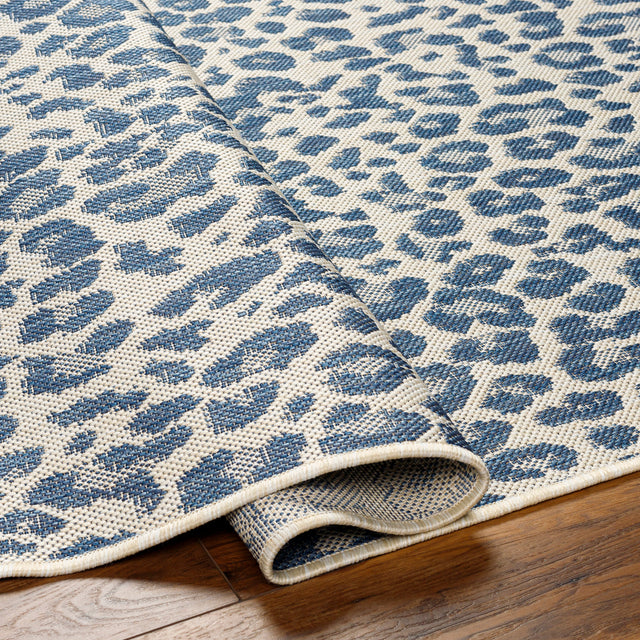 Surya Ravello Rvl-2348 Denim, Dark Blue, Ivory, Light Beige Rug.