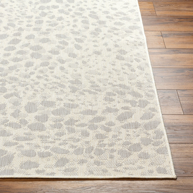 Surya Ravello Rvl-2355 Ivory, Light Beige, Light Gray, Charcoal Rug.