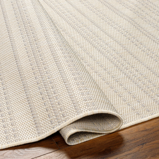 Surya Ravello Rvl-2367 Ivory, Light Beige, Light Gray, Charcoal Rug.