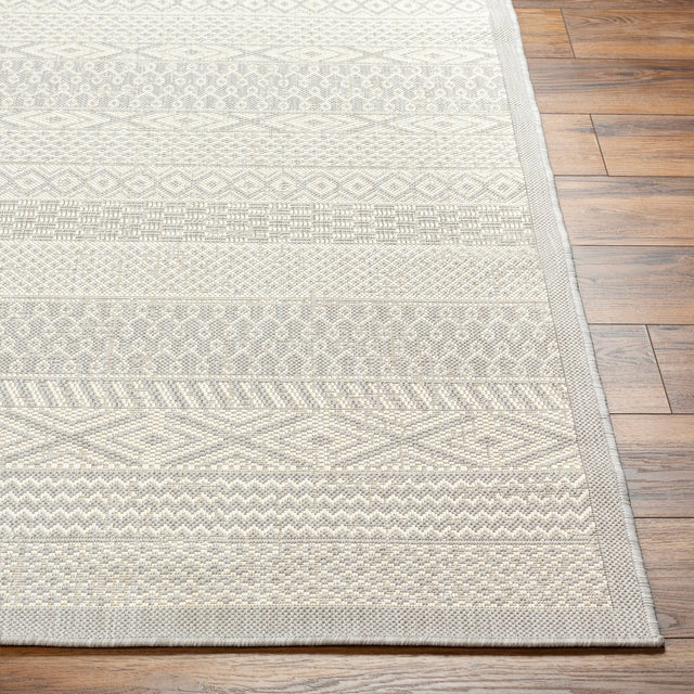Surya Ravello Rvl-2373 Light Gray, Charcoal, Ivory, Light Beige Rug.