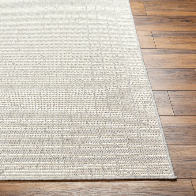 Surya Ravello Rvl-2376 Light Gray, Charcoal, Ivory, Light Beige Rug.