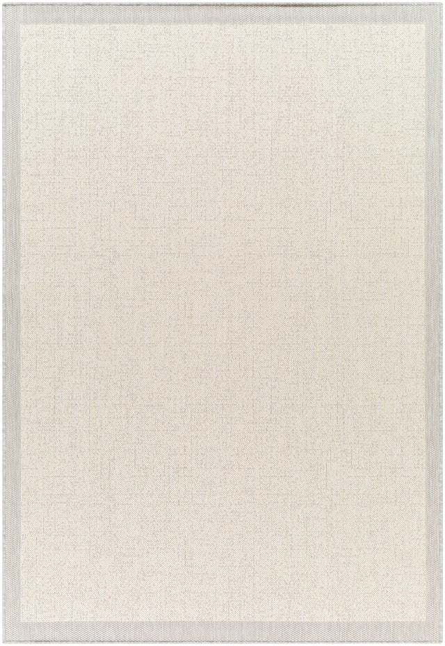 Surya Ravello Rvl-2380 Light Gray, Charcoal, Ivory, Light Beige Rug.