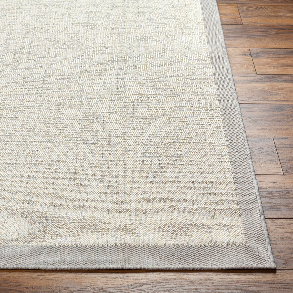 Surya Ravello Rvl-2380 Light Gray, Charcoal, Ivory, Light Beige Rug.