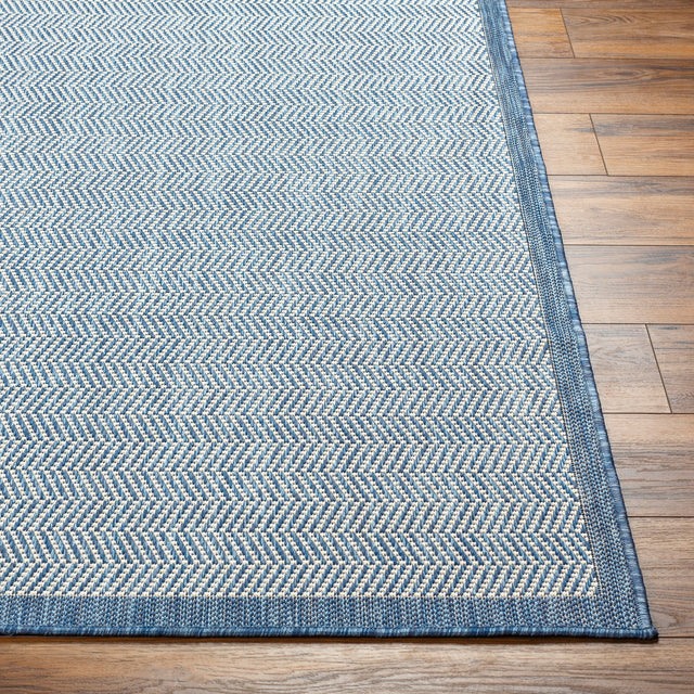 Surya Ravello Rvl-2382 Denim, Dark Blue, Ivory, Light Beige Rug.