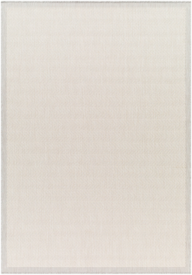 Surya Ravello Rvl-2383 Light Gray, Charcoal, Ivory, Light Beige Rug.