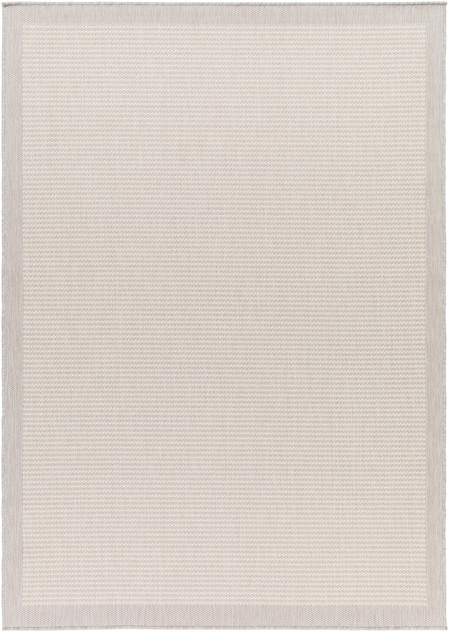 Surya Ravello Rvl-2386 Light Gray, Charcoal, Ivory, Light Beige Rug.