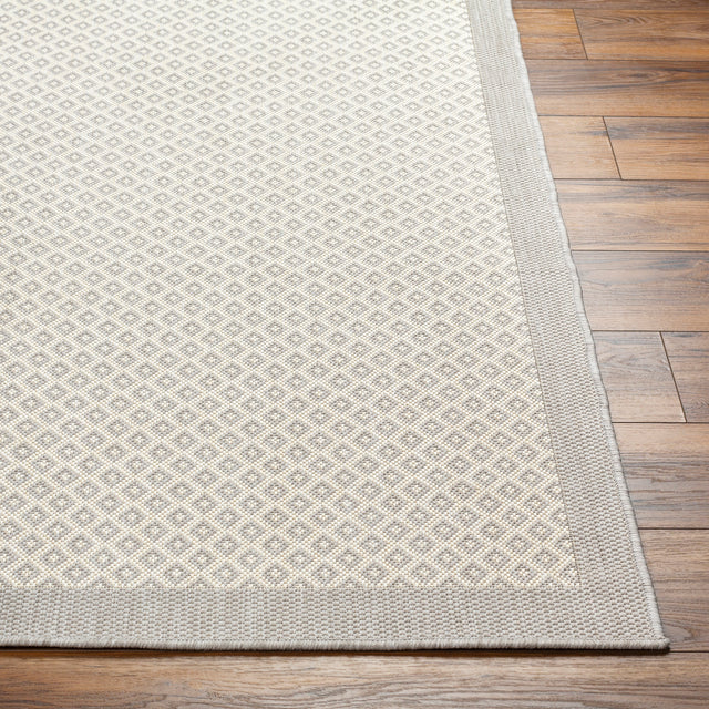 Surya Ravello Rvl-2388 Light Gray, Charcoal, Ivory, Light Beige Rug.