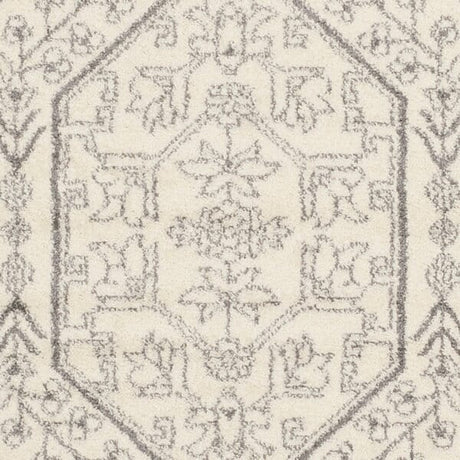 Safavieh Adirondack Adr108B Ivory/Silver Rug.