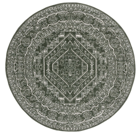 Safavieh Adirondack Adr108Y Dark Green/Ivory Rug.