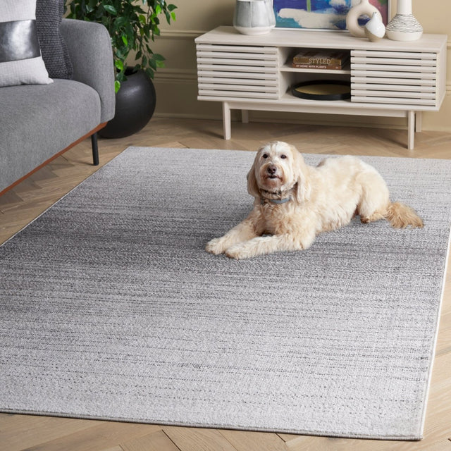 Safavieh Adirondack Adr183G Light Grey/Dark Grey Rug.